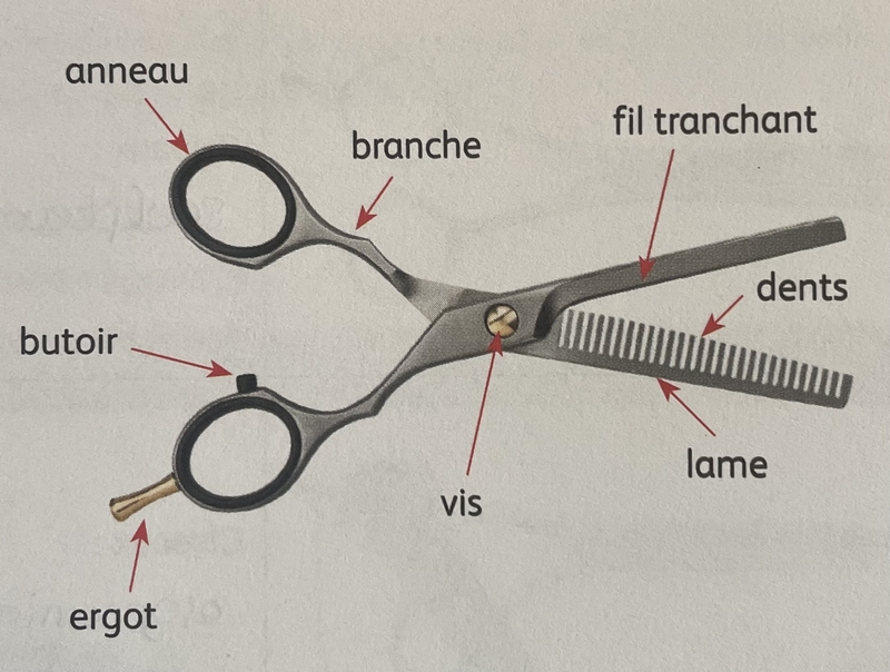 schema