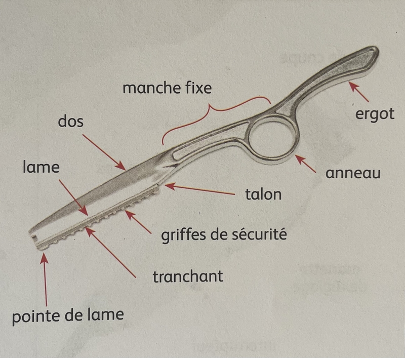 schema